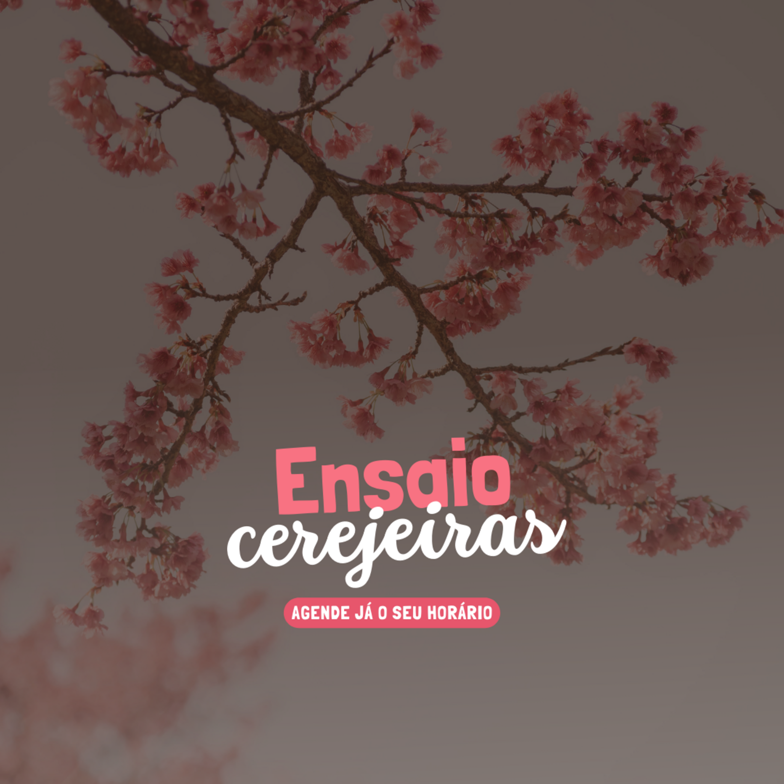 Foto do Sobre de Fot贸grafa de retratos e eventos, Ju Kurasz Fotografia, Guarapuava